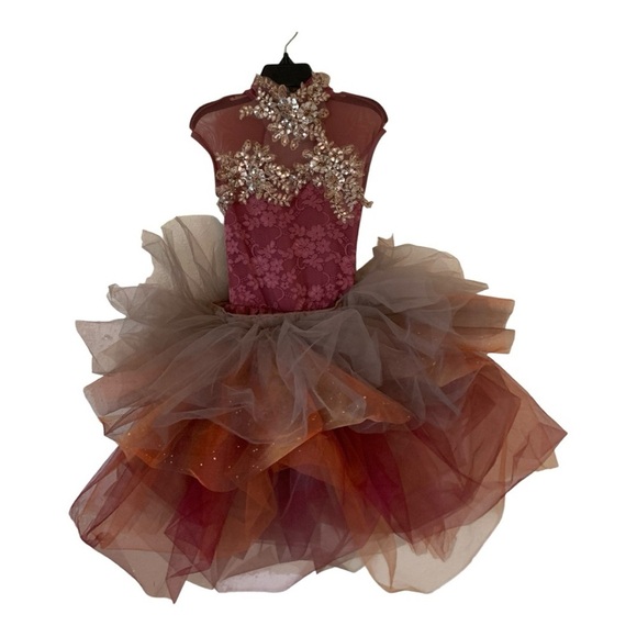 Kids Weissman Embellished Tutu Costume Sz SC or Small - Picture 1 of 9